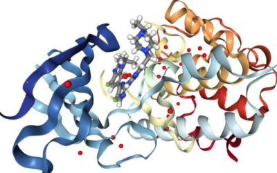 OVERALL SURVIVAL WITH ABEMACICLIB IN EARLY BREAST CANCER